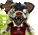 Aflitos Possums