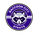 Raccoon City Strays