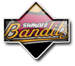 Sumaré Bandits