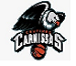 Campinas Carnissas